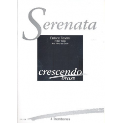 Serenata (4 Pos) -Enrico Toselli / Arr.Michael Stern