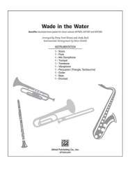 Wade In The Water SPX -Andy Beck