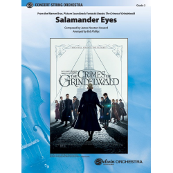 Salamander Eyes (s/o) -James Newton Howard