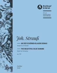 An der schönen blauen Donau op. 314 -Johann Strauß / Strauss (Sohn)