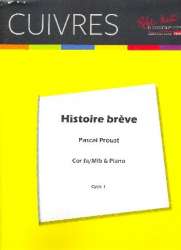 Histoire brève -Pascal Proust