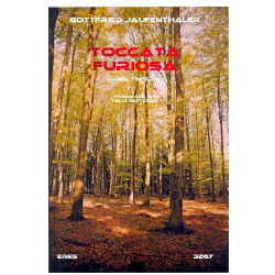 Toccata furiosa -Gottfried Jaufenthaler