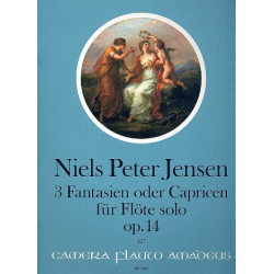 3 Fantasien op.14 - für Flöte -Niels Peter Jensen