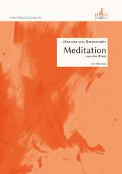 Meditation  aus dem Winde -Mathias von Brenndorff