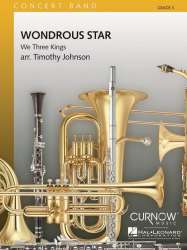 Wondrous Star -Timothy Johnson