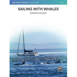 Sailing with Whales -Rossano Galante