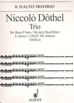 Trio e-Moll :